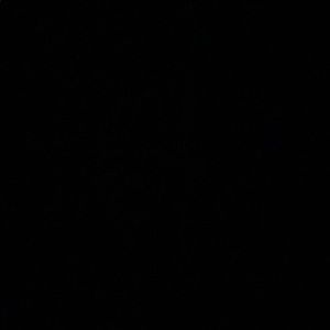 Meet your Posher, Heba